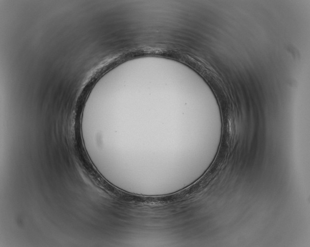 X0000113350492200910061021