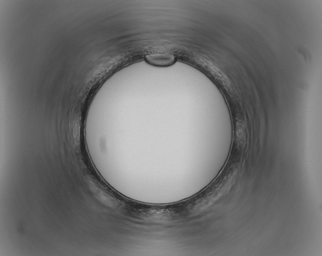 X0000113350493200910061021