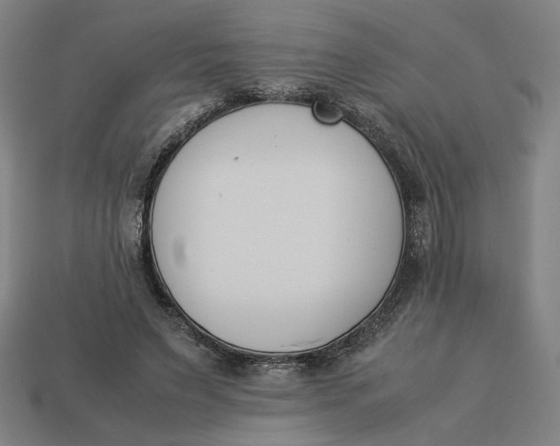 X0000113350495200910061021