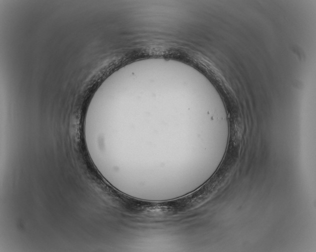 X0000113350497200910061021