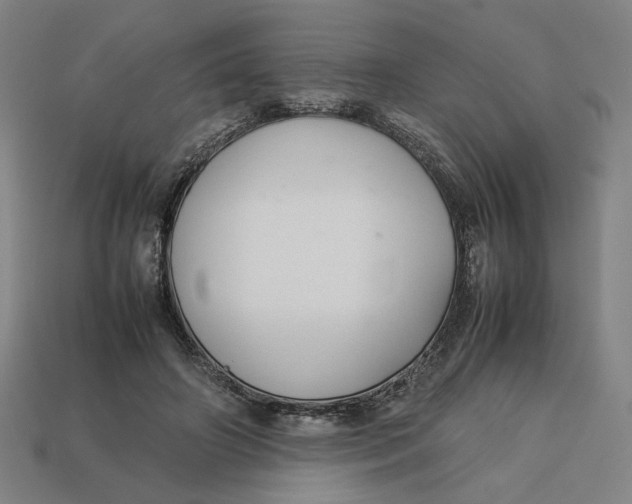 X0000113350498200910061021