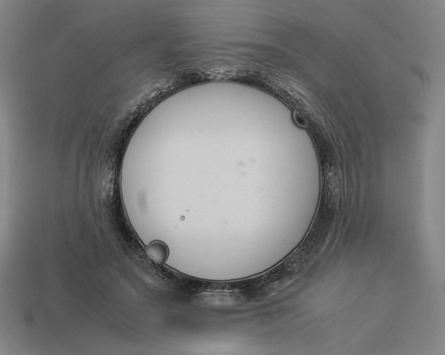 X0000113350499200910061021