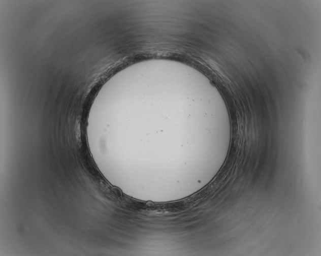 X0000113350500200910061021