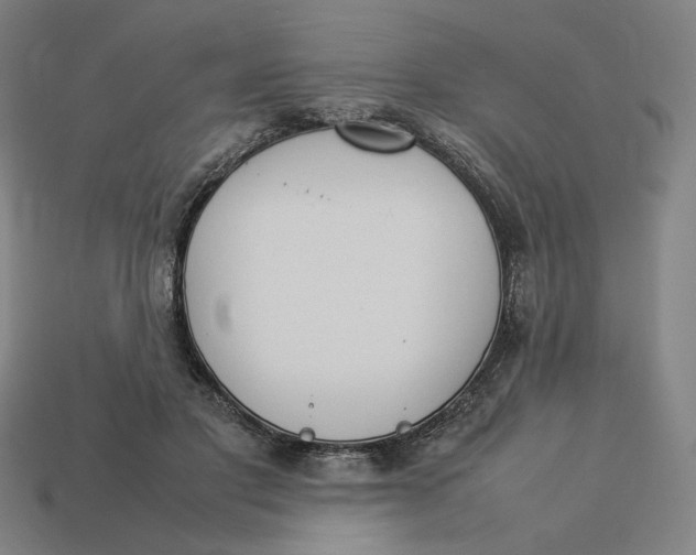 X0000113350501200910061021