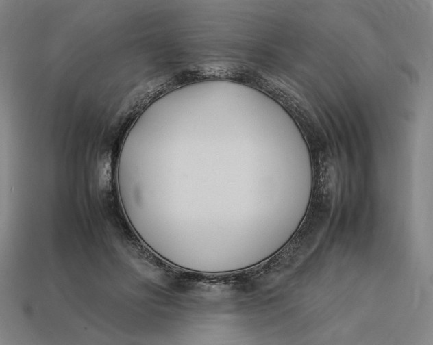 X0000113350502200910061021