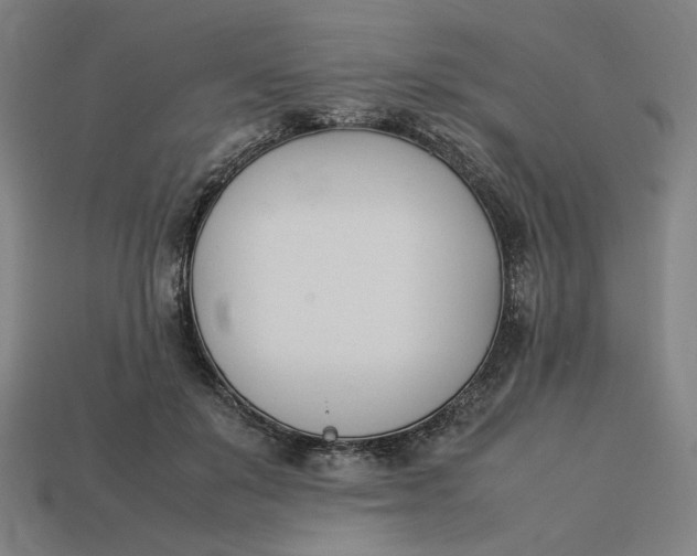 X0000113350503200910061021