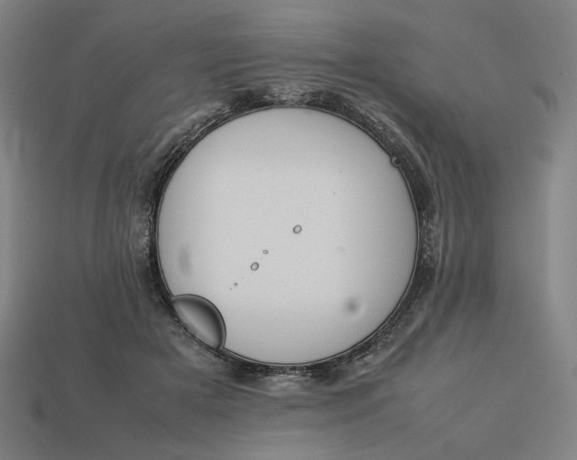 X0000113350505200910061021