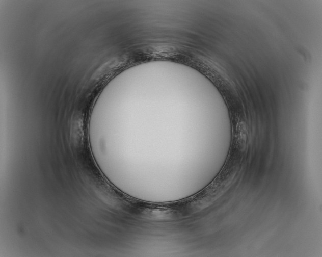 X0000113350506200910061021