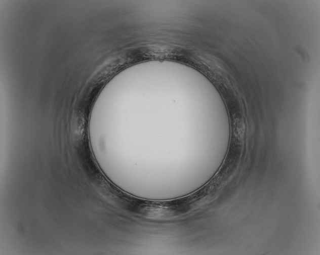 X0000113350507200910061021