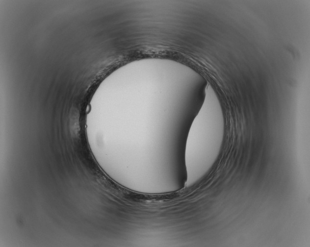 X0000113350508200910061021