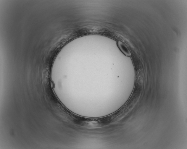 X0000113350509200910061021