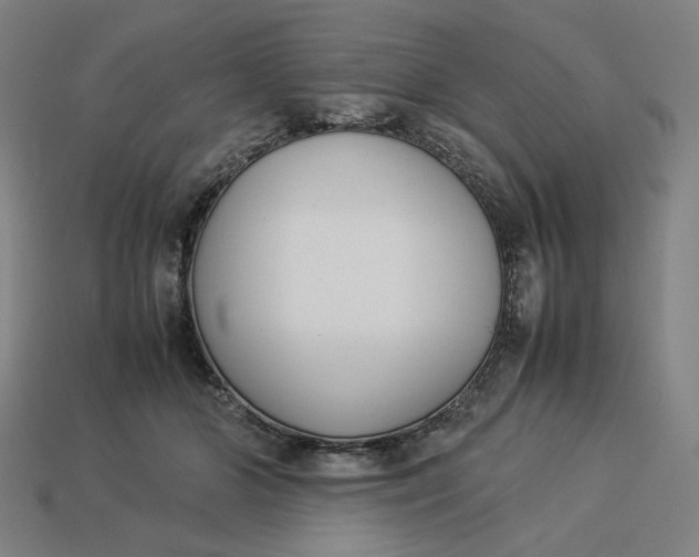 X0000113350510200910061021