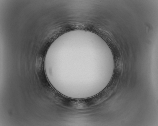 X0000113350511200910061021