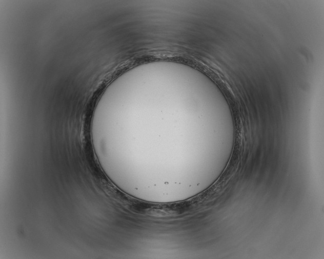 X0000113350512200910061021