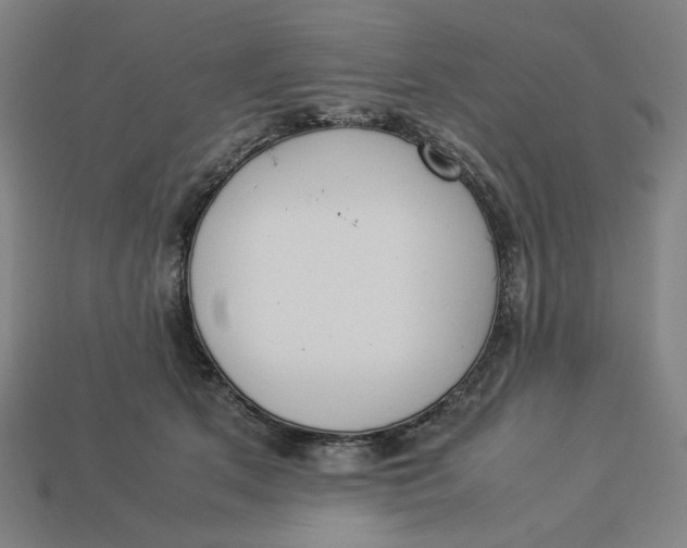 X0000113350513200910061021