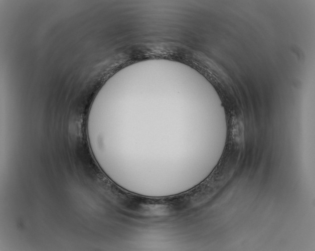 X0000113350514200910061021