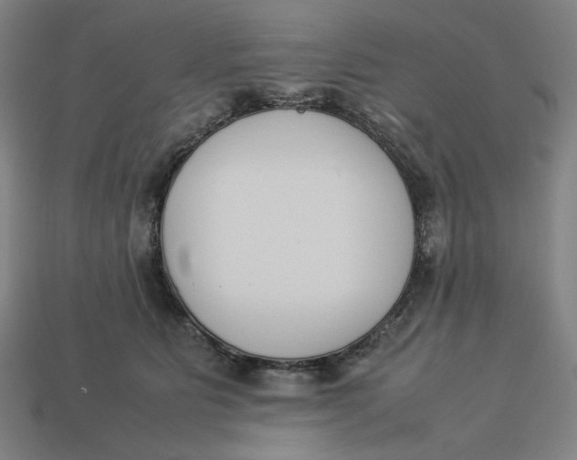 X0000113350515200910061021