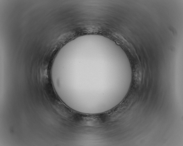 X0000113350516200910061021