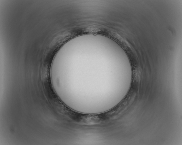 X0000113350517200910061021