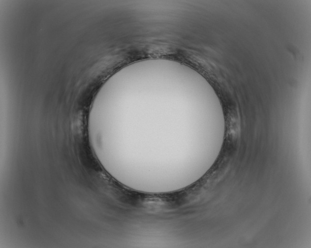 X0000113350519200910061021