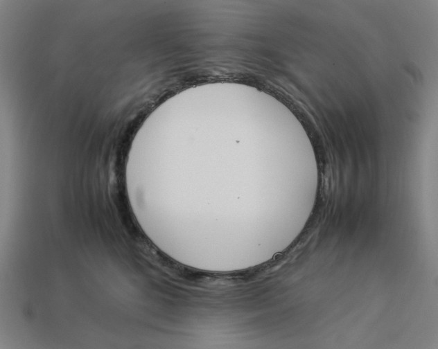 X0000113350520200910061021