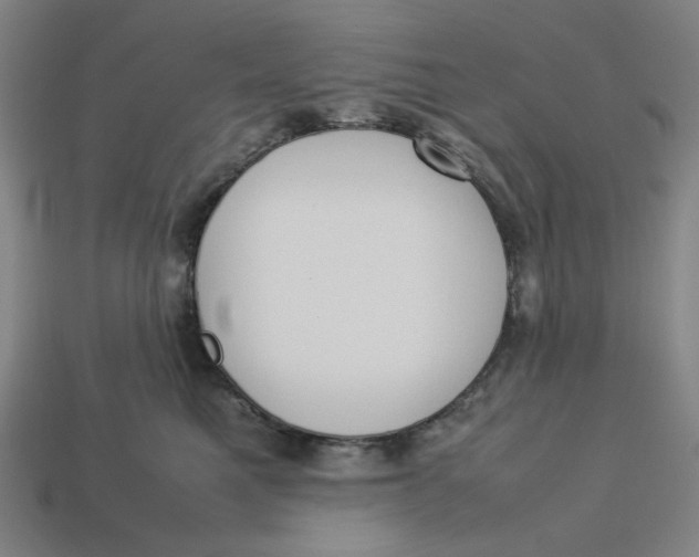 X0000113350521200910061021