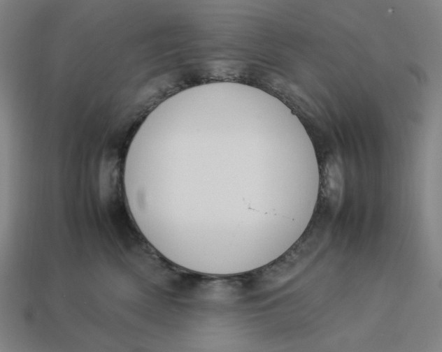 X0000113350522200910061021