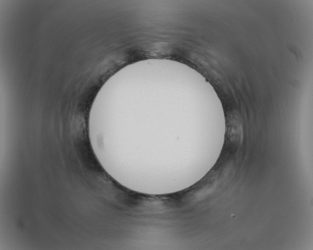 X0000113350523200910061021