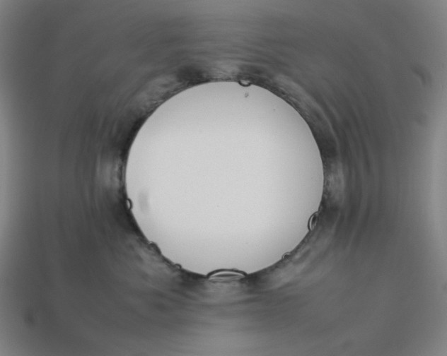 X0000113350525200910061021