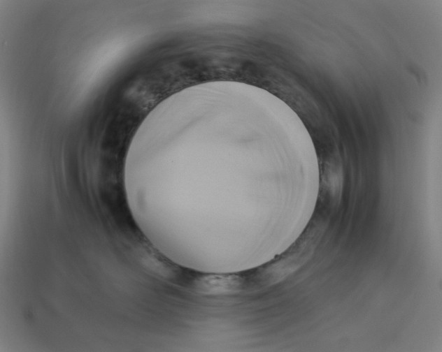 X0000113350526200910061021