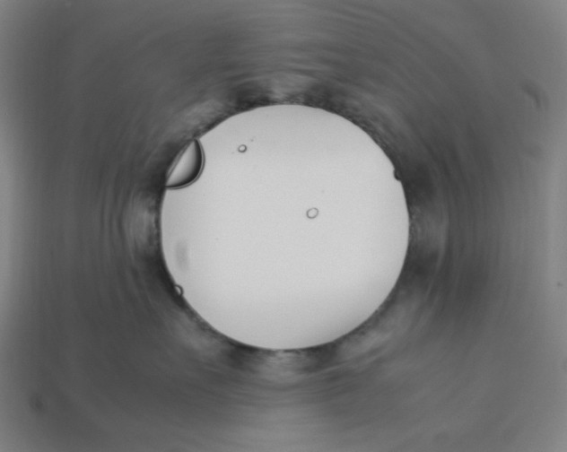 X0000113350527200910061021