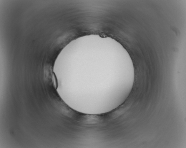 X0000113350528200910061021