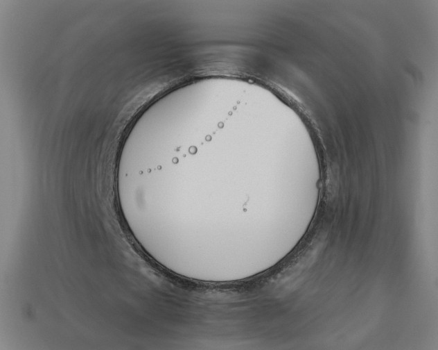 X0000113350529200910061020