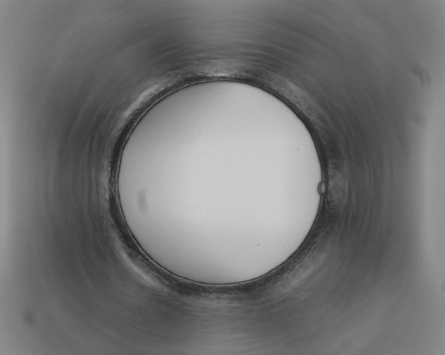 X0000113350530200910061020