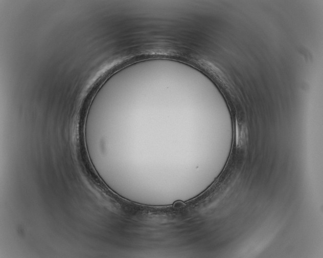 X0000113350531200910061020