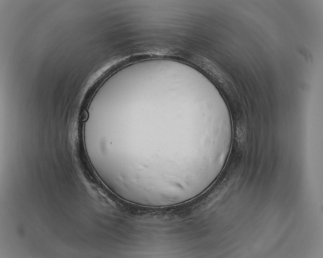 X0000113350532200910061020