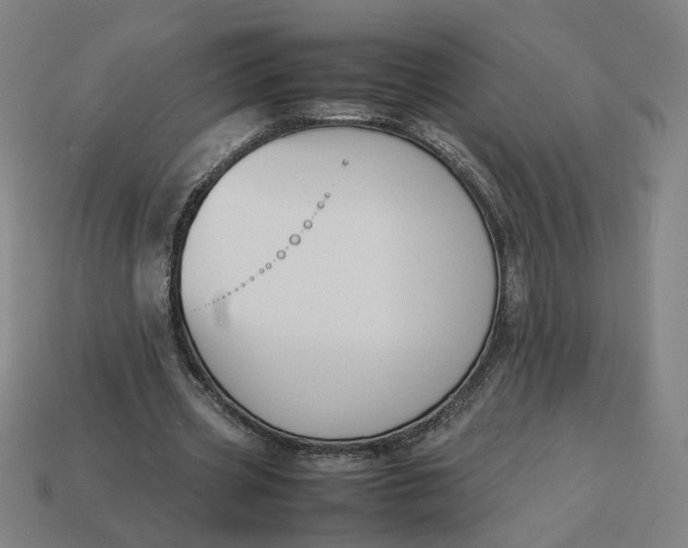 X0000113350533200910061020