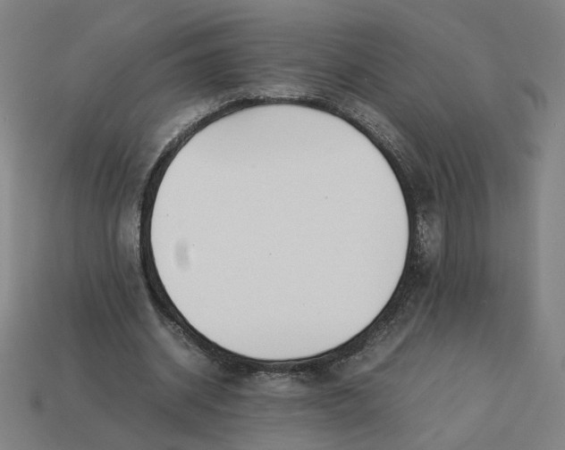 X0000113350534200910061020