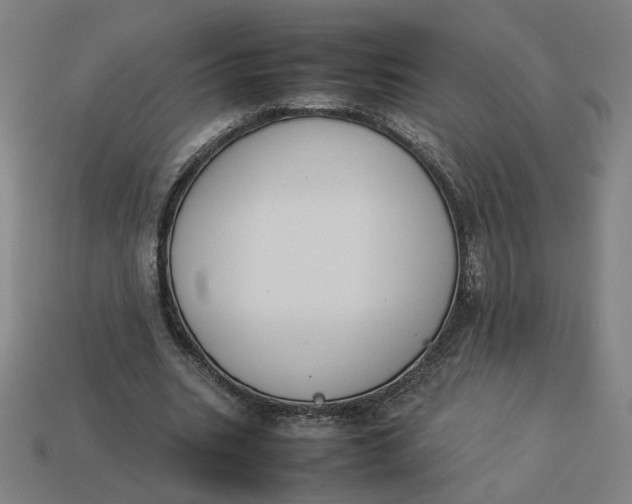 X0000113350535200910061021