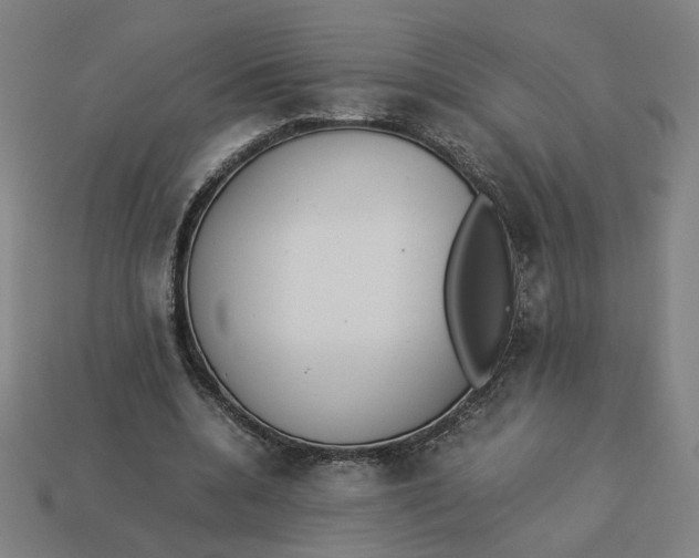 X0000113350536200910061021