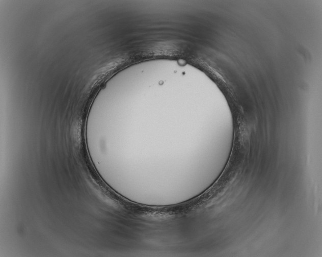 X0000113350537200910061021