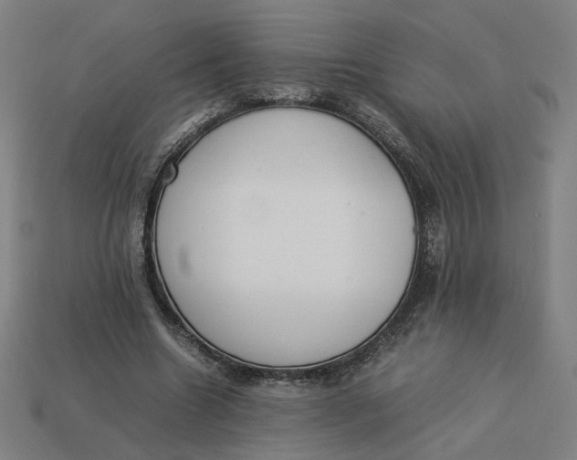 X0000113350538200910061021