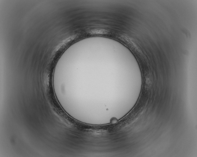 X0000113350539200910061021