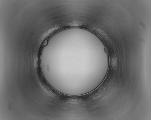 X0000113350540200910061021