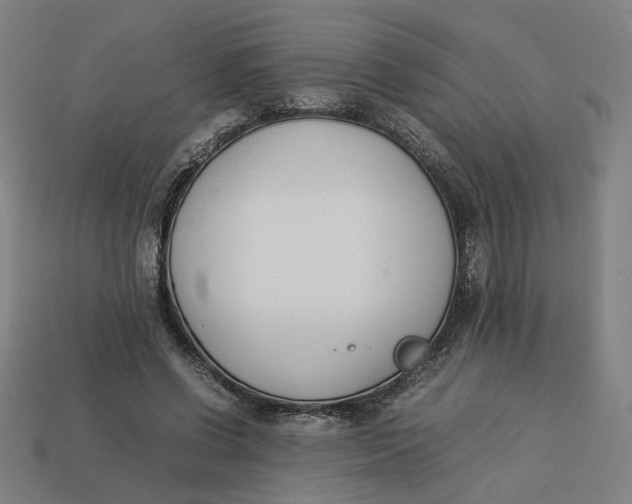 X0000113350542200910061021