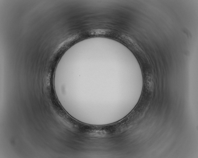 X0000113350543200910061021