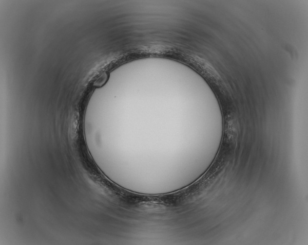 X0000113350544200910061021