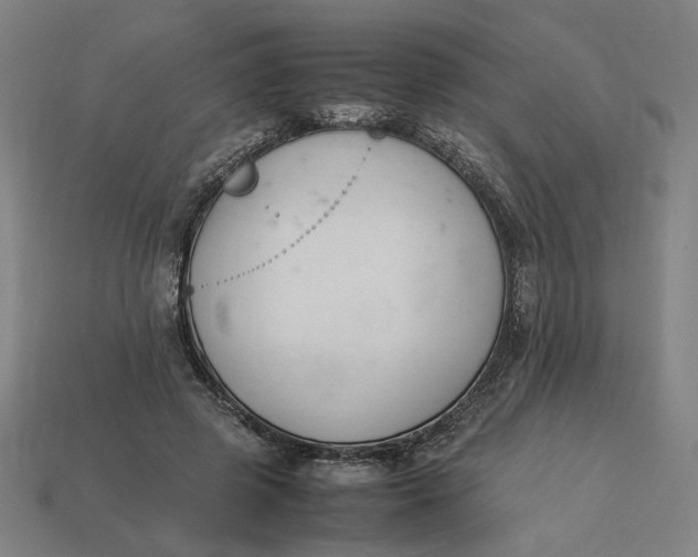 X0000113350545200910061021