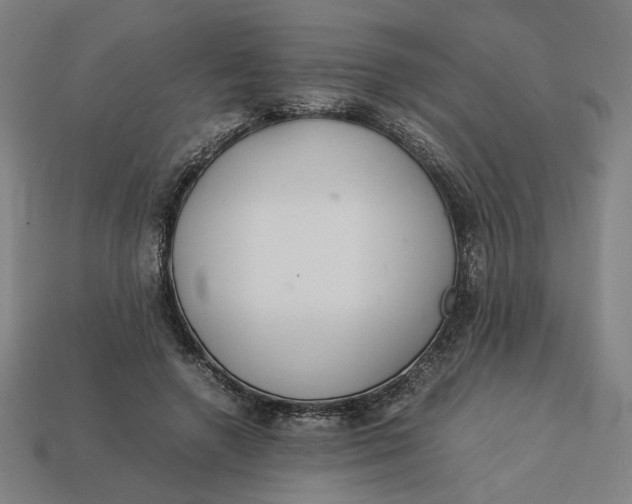 X0000113350546200910061021