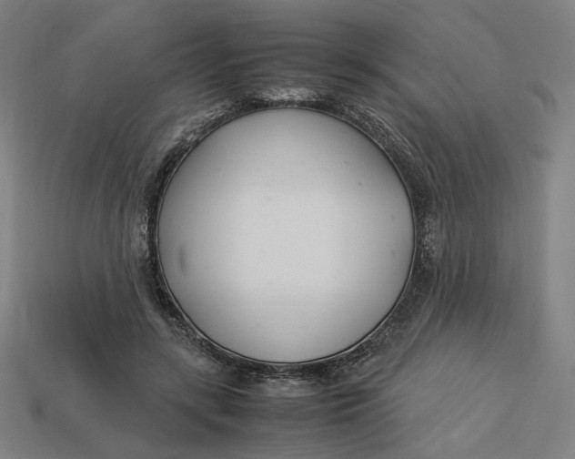 X0000113350547200910061021